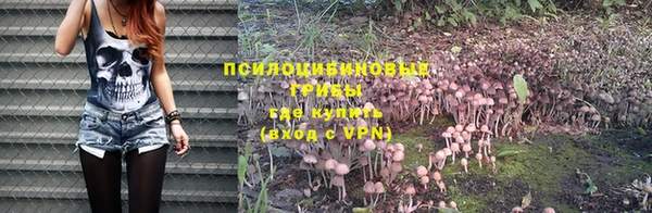 не бодяженный Нефтекумск
