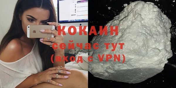 сатива Нея