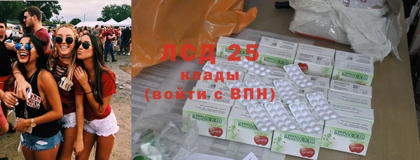 сатива Нея