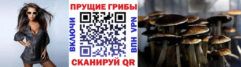 Галлюциногенные грибы мицелий Стрежевой